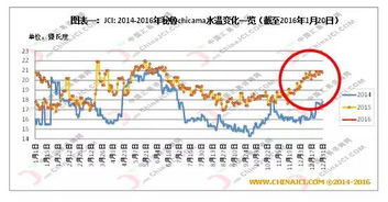 全球鱼粉主产区哪里产量强？山东年产25万吨的产业密码是什么？