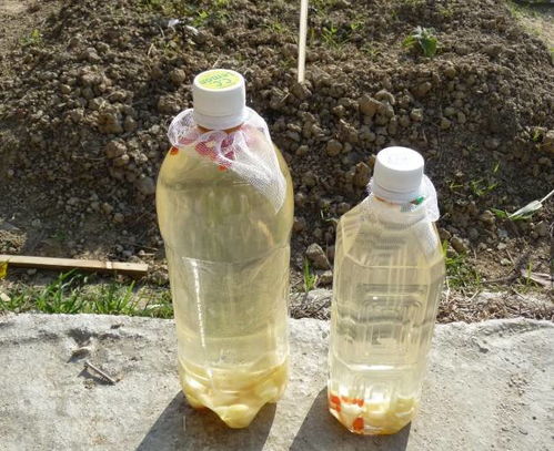 喷在叶子上的， 得等会儿