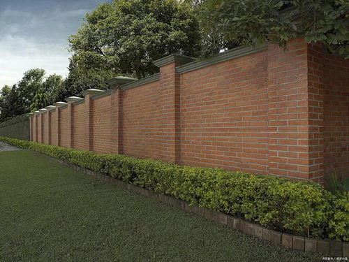 围墙内树木种植全攻略