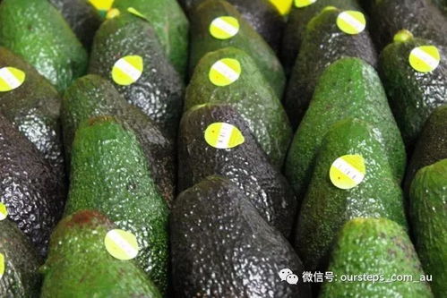 牛油果批发价多少？零售价又是多少