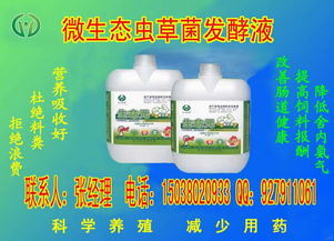 2020年黄鳝养殖新技术：利用生物酶处理黄鳝饲料