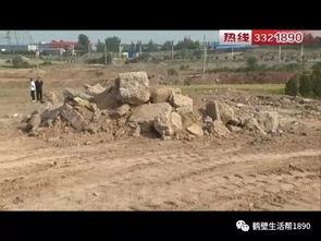 进口芝麻疑遭偷梁换柱，竟变成砂土