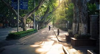 北京花卉大观园怎么走？地铁+公交