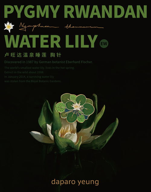 卢旺达的睡莲：一份生态密码的探寻