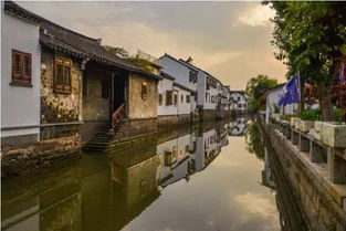 一、 上海景观公司的江湖