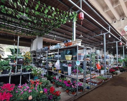 实体店购买油烟机， 消费者比较少