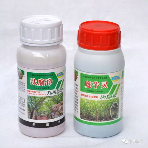 多元消毒粉、 汰腐净、魔芋灵的组合