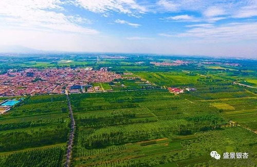 成活率调查与补植措施