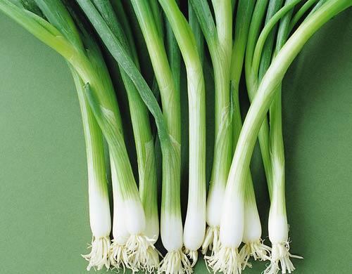 葱叶生锈，心慌慌，怎么办？