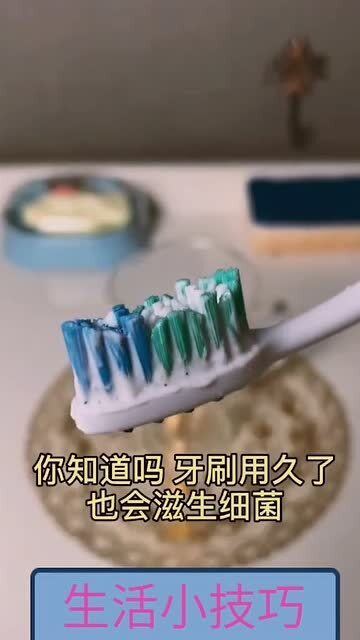 用牙刷怎么洗花螺才彻底？