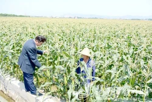 产量与效益分析