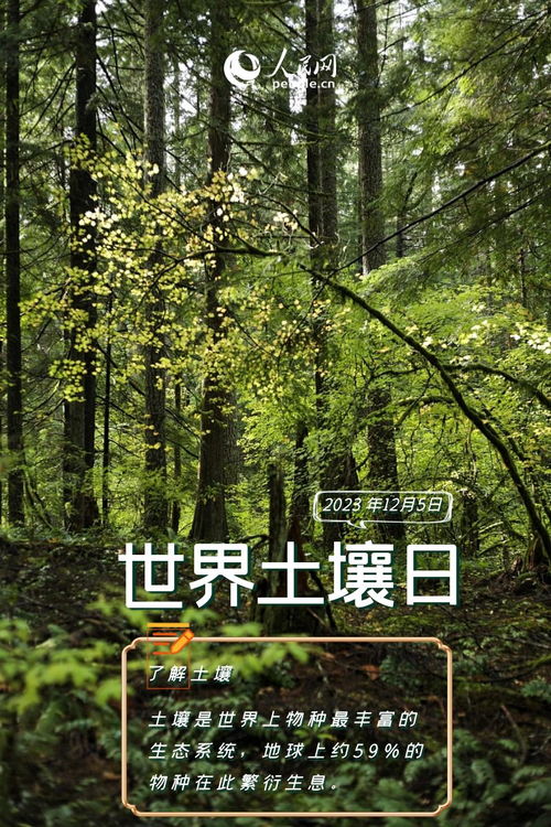 半边黄：天然防水