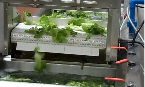 有机蔬菜：Zui直接的解决办法