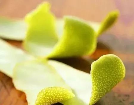 柚子种子种植记：我的种子为何装死？