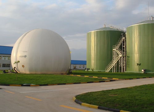 花园养猪场，猪粪沼气发电供暖