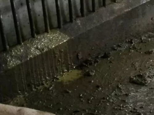 规模化猪场常见疾病及综合防控措施