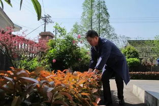 楼顶种花树真的平安吗？