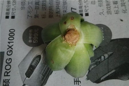 混用要小心，别搞错了！