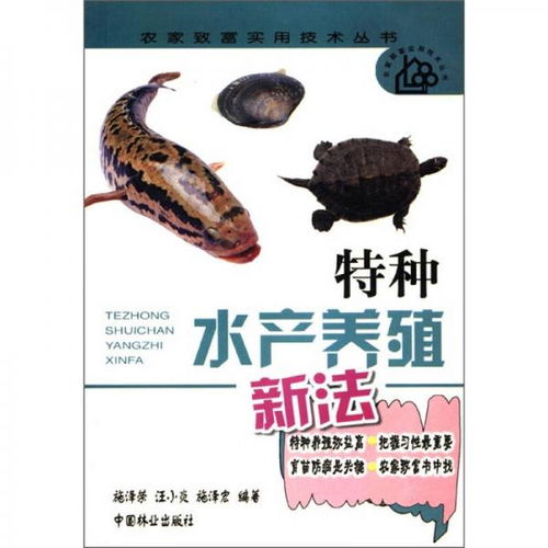 花螺延长养殖周期新法探索
