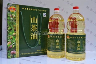 巴马野生茶油：铜钱沾茶油，健康养生新体验