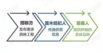 苗木经纪人的世界：揭秘利润与收入真相