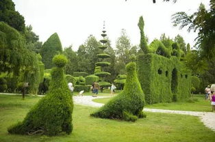 园艺修剪的艺术：谁才是真正的园艺达人？