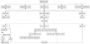 新手养牛必备攻略：全面指南与风险评估