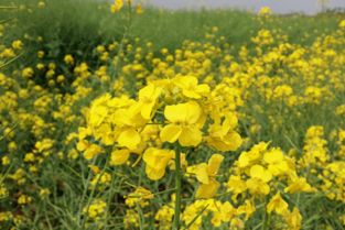 注意事项，别忘记了