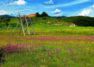 云南香格里拉的推广方案， 让我们一起来学习