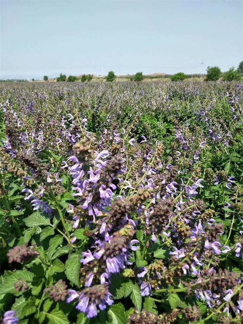 关键参数有哪些？