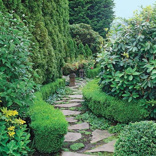 春天 选种樱花、郁金香，粉嫩花朵绽放，浪漫满园