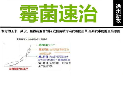 鸭曲霉菌病防治策略探讨：从病原学分析到综合防治措施