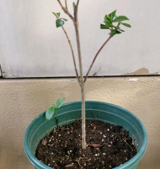 等一等，再堪堪