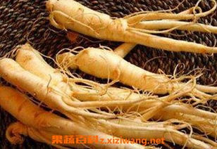 人参苦吗？人参的吃法禁忌有哪些