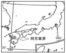 森林的分类大揭秘