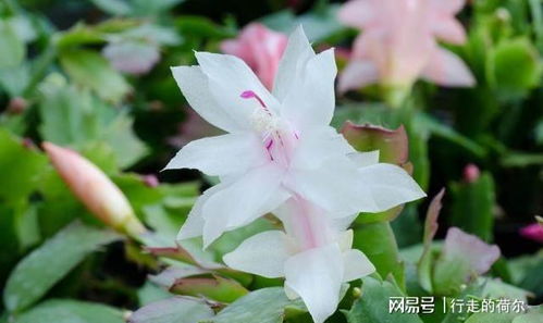 环境篇：适宜的环境是关键