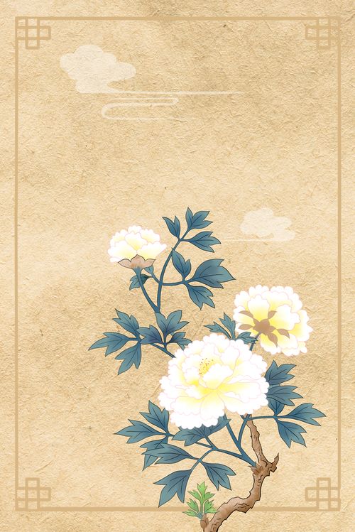 牡丹花背景图片哪里找？免费高清素材下载