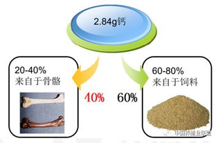 蛋壳质量差，钙转运机制或成子宫关键因素