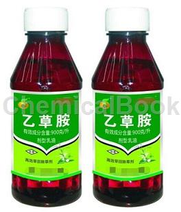 茄子优质化培育， 高端果蔬品种植