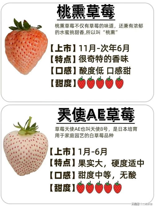 草莓品种哪个好？如何挑选不同口感的草莓