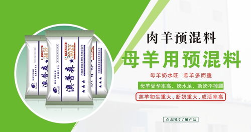 4%预混料与8%预混料配方在营养成分和添加量上有什么具体区别？
