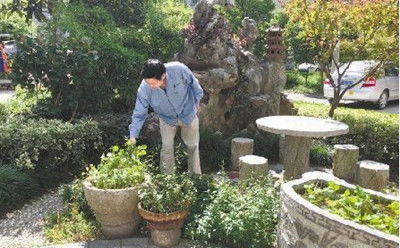 工程验收与后期管理