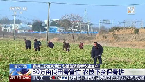 推动农业养殖技术革新，助力养猪业升级