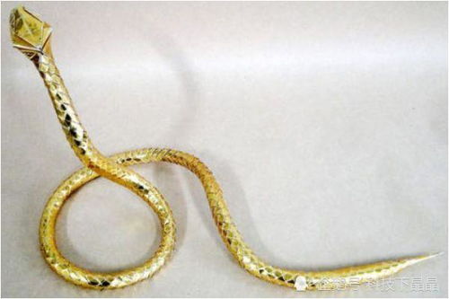 生肖蛇的象征——金银花