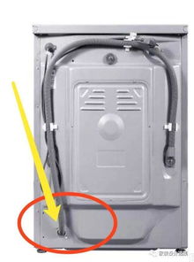 第二步：直接放入滚筒里？还是放在衣物上？