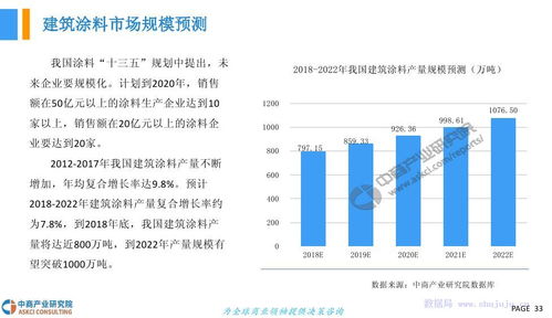 二、 市场前景分析：亮点与槽点并存