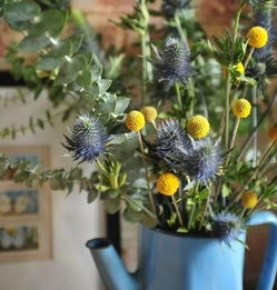 秋季：花卉萌芽的黄金季节