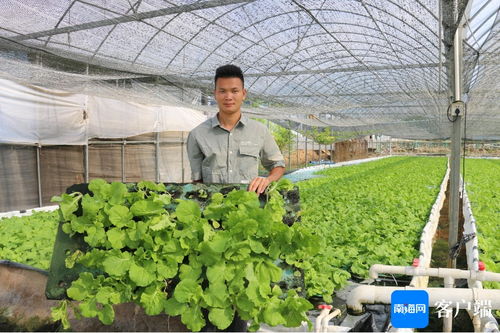 误区：只适合水生蔬菜