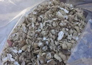 花生壳腐熟后，可作为养花肥料