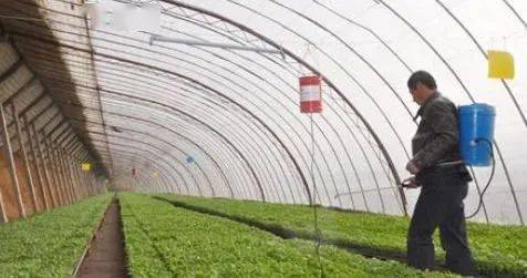 冬春季节的喷药时间